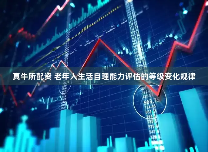 真牛所配资 老年人生活自理能力评估的等级变化规律